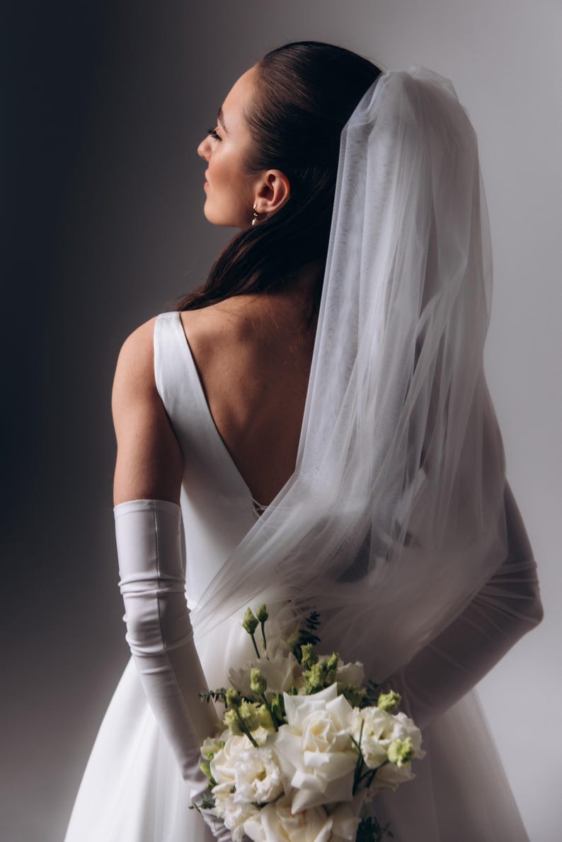 Basgue Waist Bridal Gown A-line wedding dress